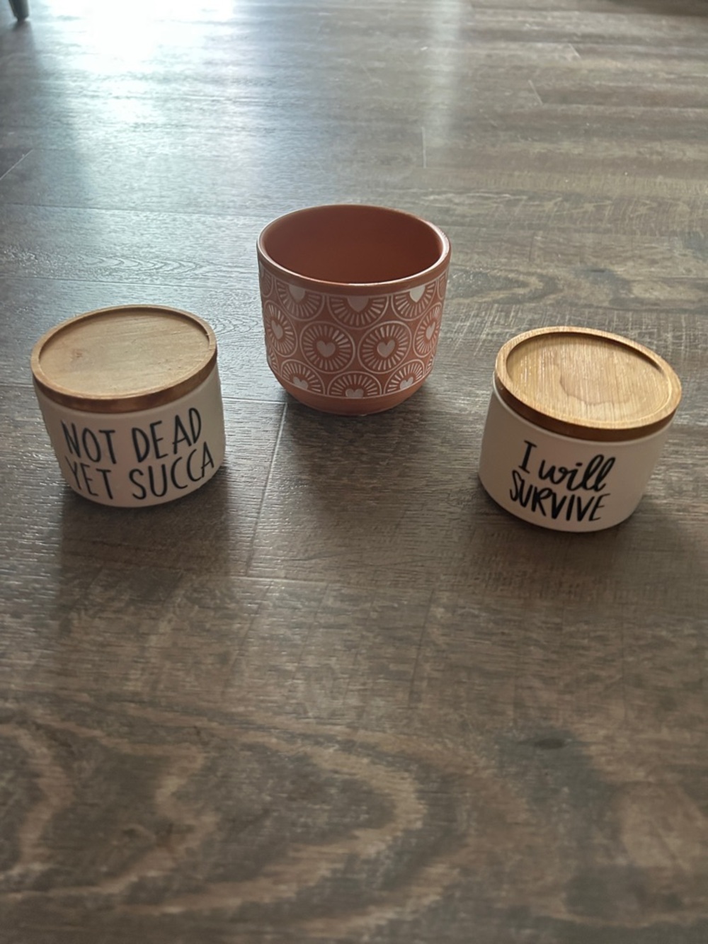Boho Succulent set - 2 with bamboo lids & 1 terra cotta